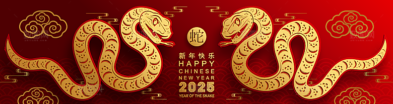 蛇年2025年新年春节红色中式蛇纹元素图