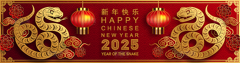 蛇年2025年新年春节红色中式蛇纹元素图