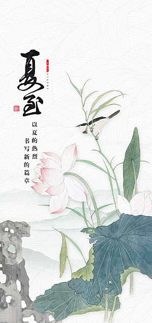 传统节气夏至海报模板