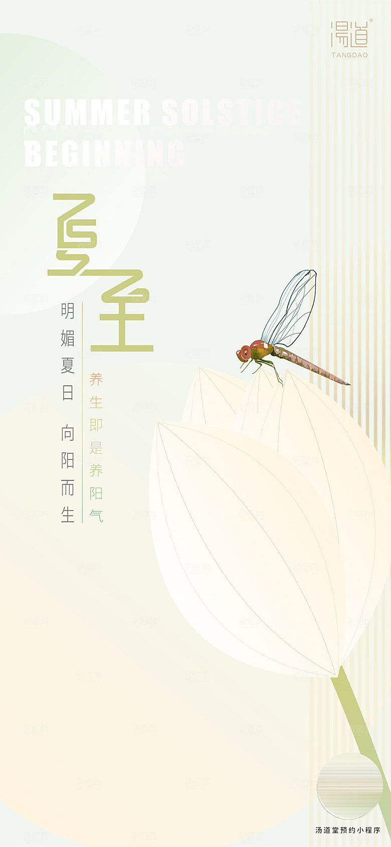 传统节气夏至海报模板