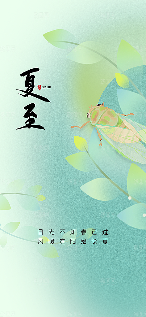 夏至节气简约大气海报