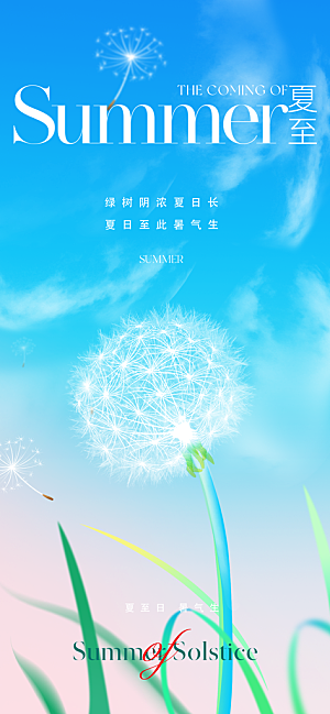夏至节气简约大气海报