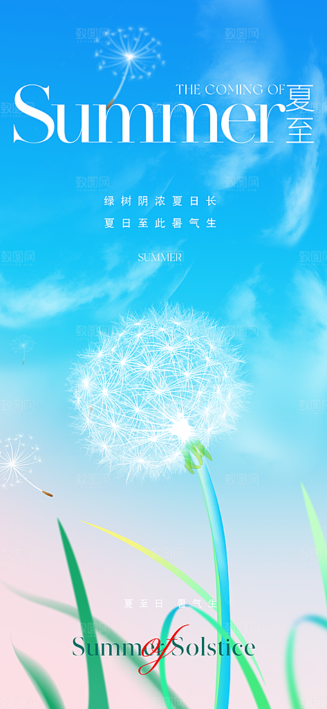 夏至节气简约大气海报