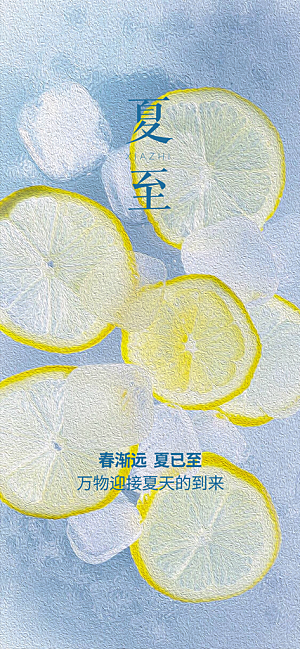 传统节气夏至海报模板