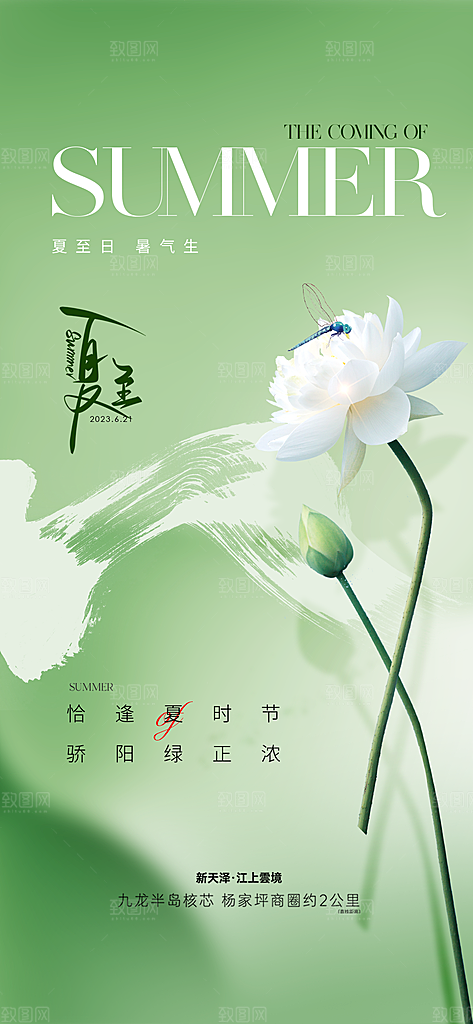 传统节气夏至海报模板