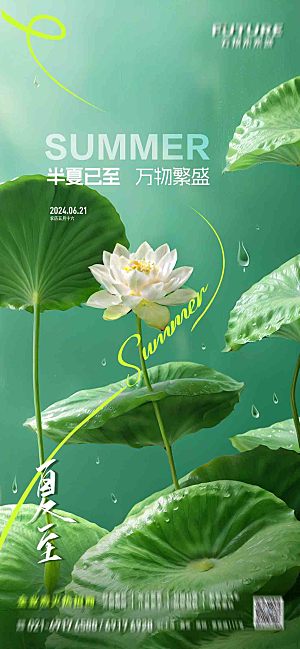 夏至节气简约大气海报