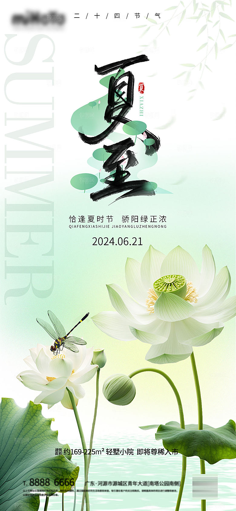 夏至节气简约大气海报