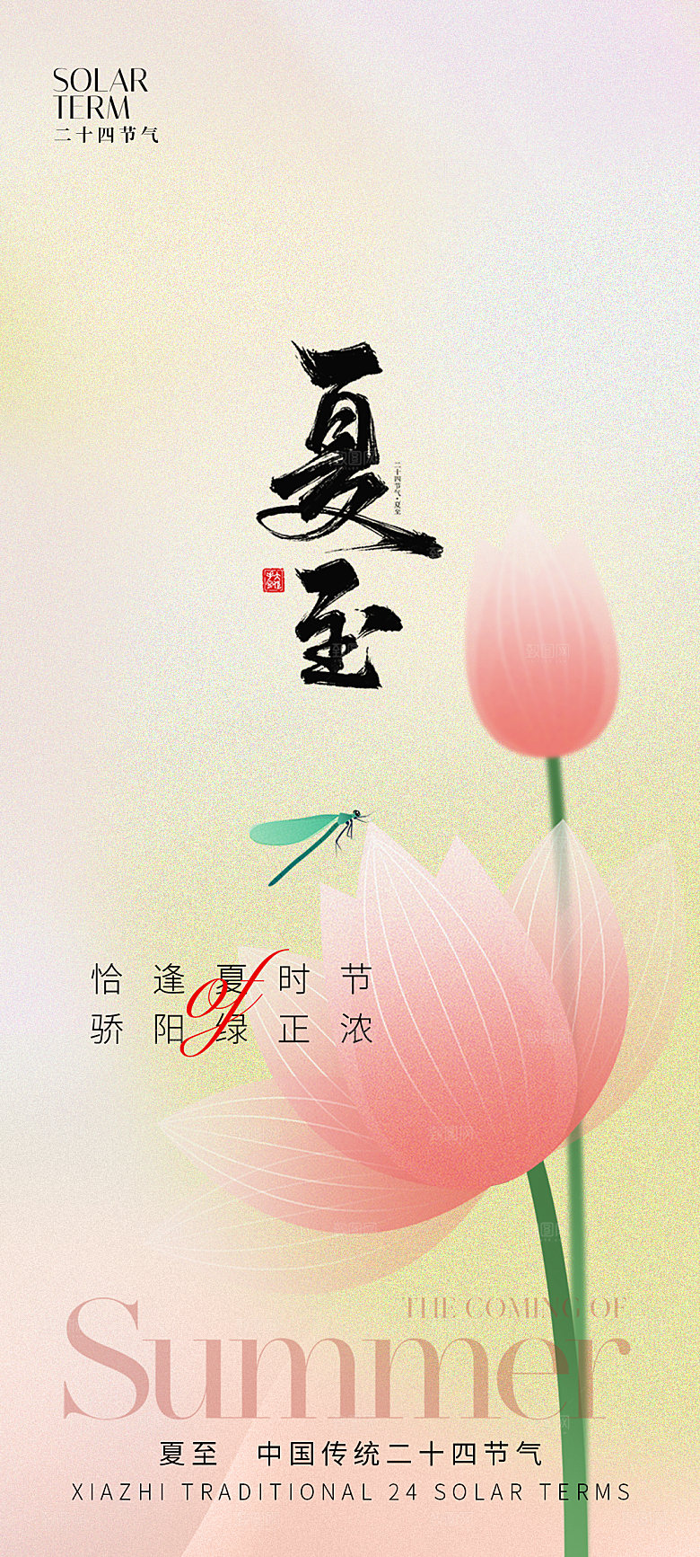 夏至节气简约大气海报