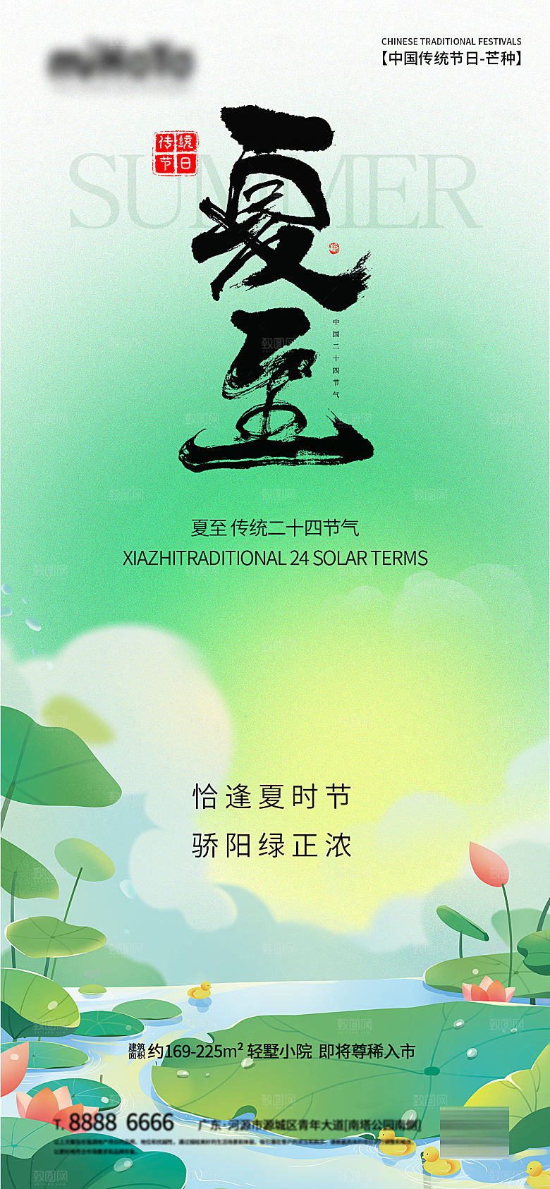 夏至节气简约大气海报