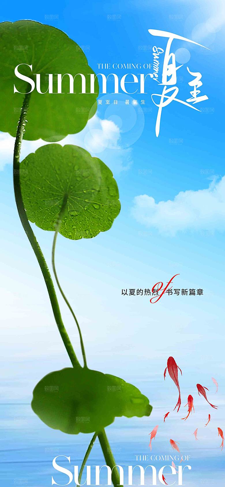 夏至节气简约大气海报