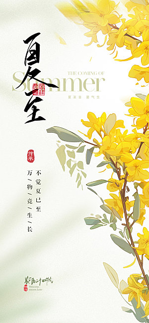 夏至节气简约大气海报