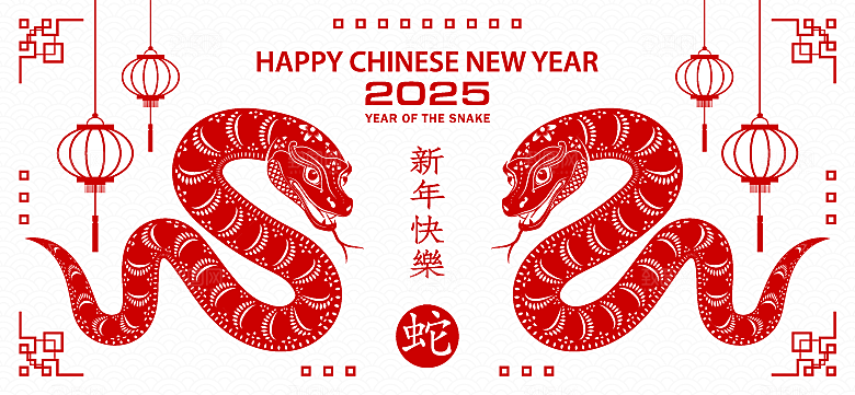 蛇年2025年新年春节红色中式蛇纹元素图