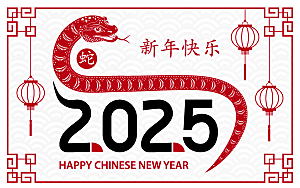 蛇年2025年新年春节红色中式蛇纹元素图