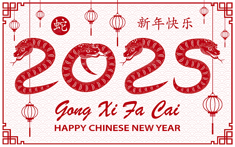 蛇年2025年新年春节红色中式蛇纹元素图
