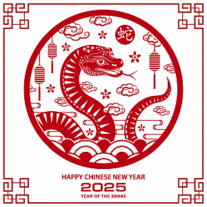 蛇年2025年新年春节红色中式蛇纹元素图