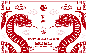 蛇年2025年新年春节红色中式蛇纹元素图