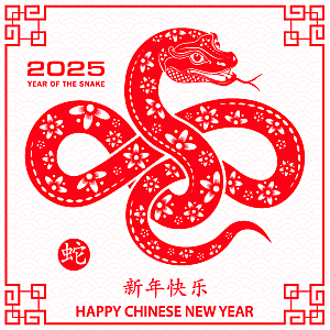 蛇年2025年新年春节红色中式蛇纹元素图