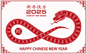 蛇年2025年新年春节红色中式蛇纹元素图