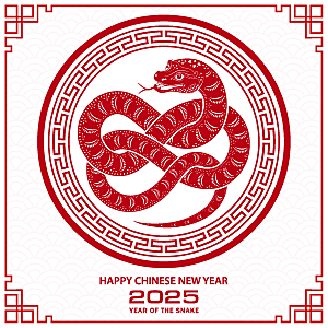 蛇年2025年新年春节红色中式蛇纹元素图