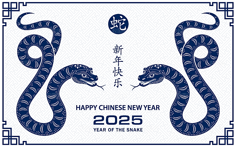 蛇年2025年新年春节中式蛇纹元素图