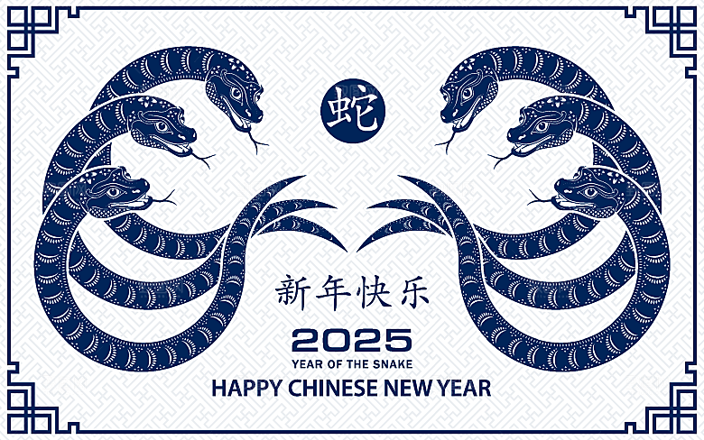 蛇年2025年新年春节中式蛇纹元素图