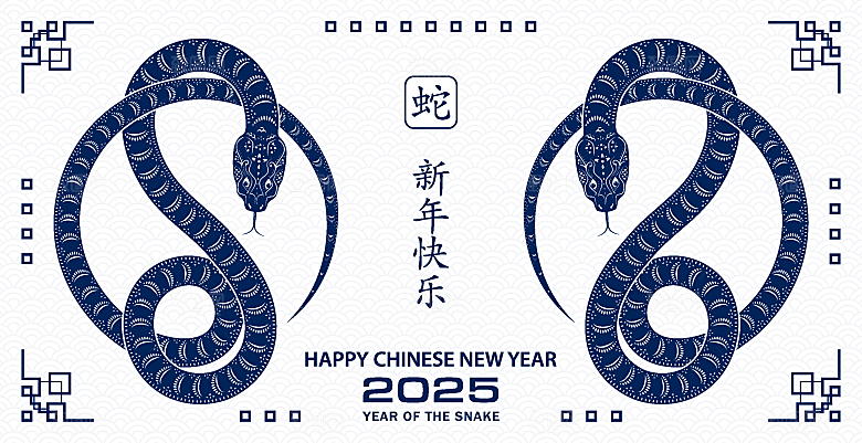 蛇年2025年新年春节中式蛇纹元素图