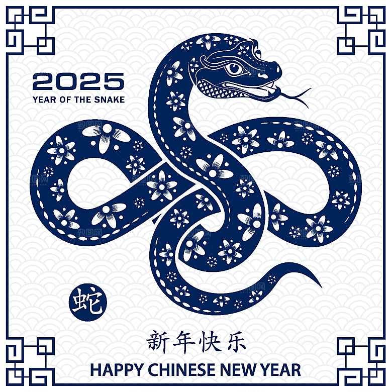 蛇年2025年新年春节中式蛇纹元素图