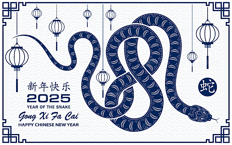 蛇年2025年新年春节中式蛇纹元素图