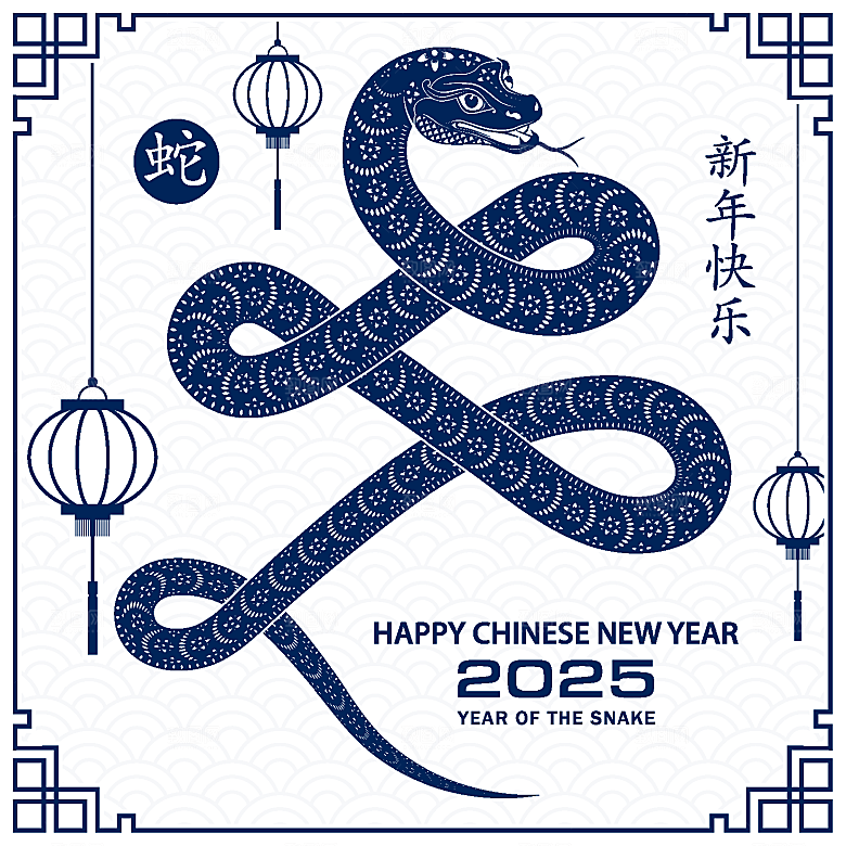 蛇年2025年新年春节中式蛇纹元素图