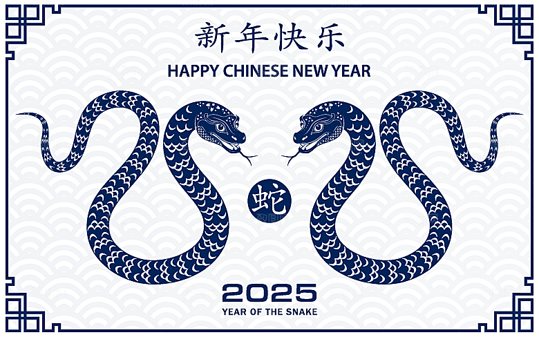 蛇年2025年新年春节中式蛇纹元素图