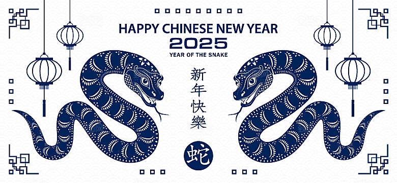 蛇年2025年新年春节中式蛇纹元素图