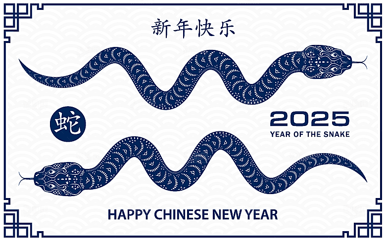 蛇年2025年新年春节中式蛇纹元素图