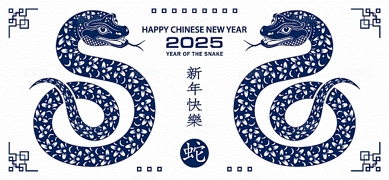 蛇年2025年新年春节中式蛇纹元素图