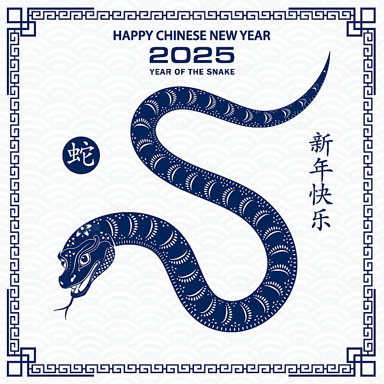 蛇年2025年新年春节中式蛇纹元素图