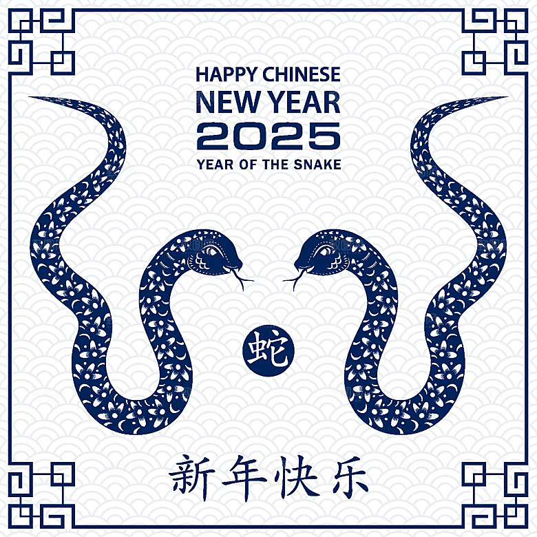 蛇年2025年新年春节中式蛇纹元素图