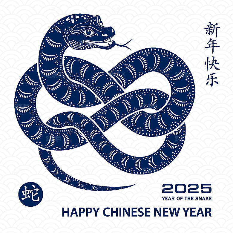 蛇年2025年新年春节中式蛇纹元素图