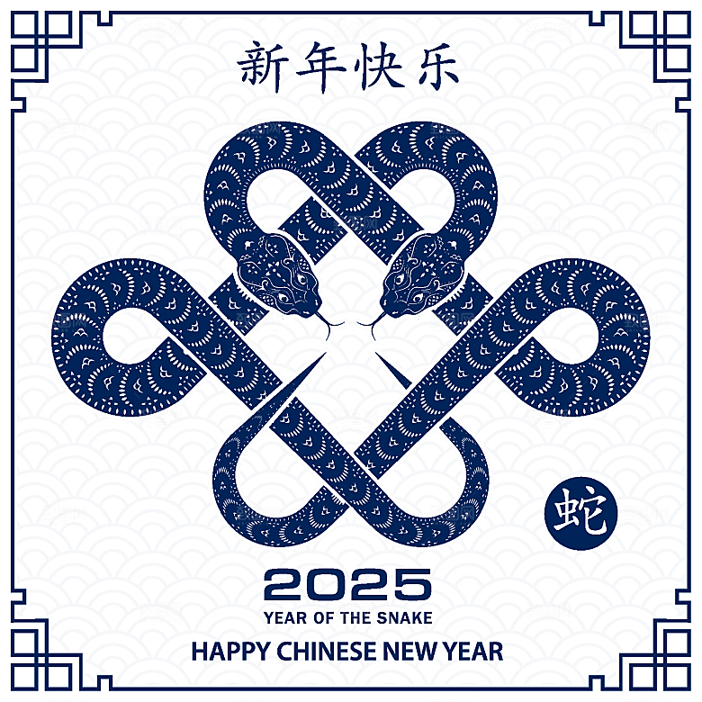 蛇年2025年新年春节中式蛇纹元素图