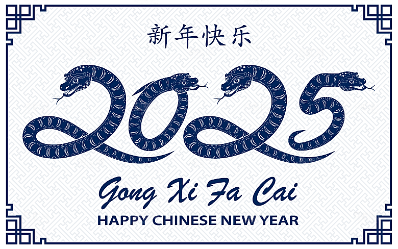 蛇年2025年新年春节中式蛇纹元素图