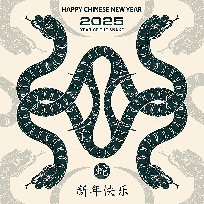 蛇年2025年新年春节中式蛇纹元素图