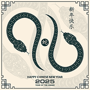 蛇年2025年新年春节中式蛇纹元素图