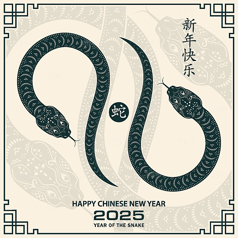 蛇年2025年新年春节中式蛇纹元素图