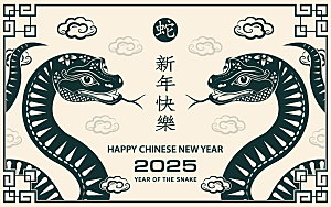 蛇年2025年新年春节中式蛇纹元素图