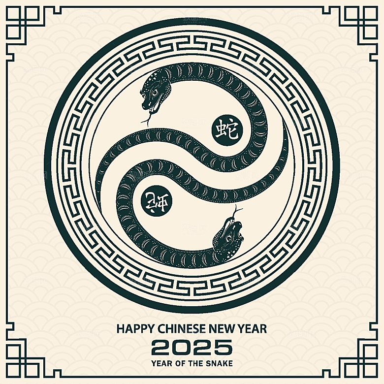 蛇年2025年新年春节中式蛇纹元素图