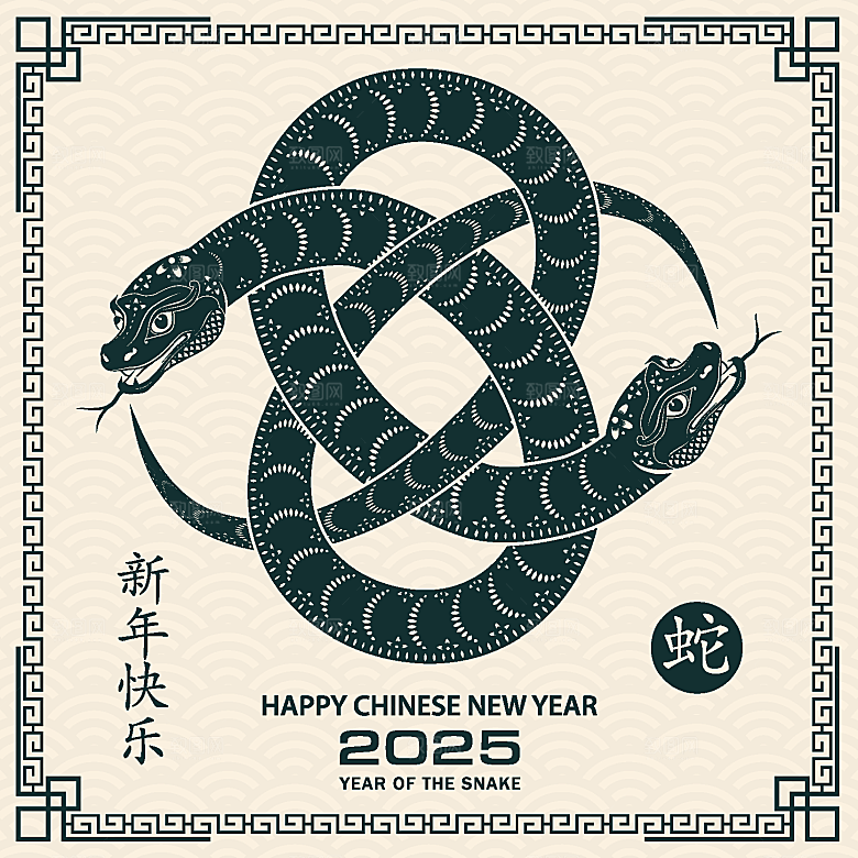 蛇年2025年新年春节中式蛇纹元素图