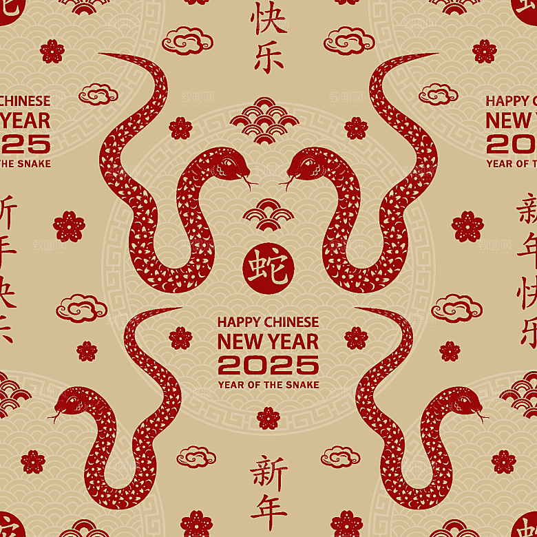 蛇年2025年新年春节中式蛇纹元素图