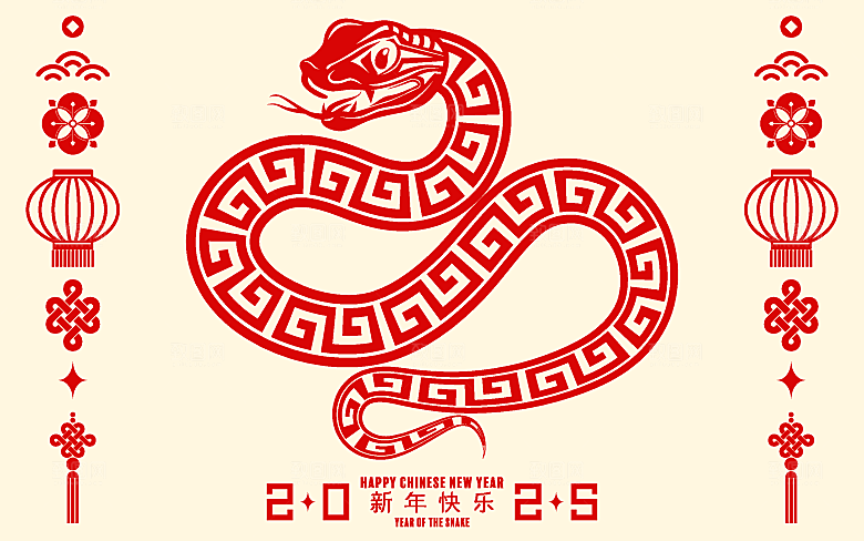 蛇年2025年新年春节中式蛇纹元素图