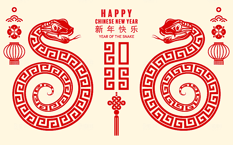 蛇年2025年新年春节中式蛇纹元素图