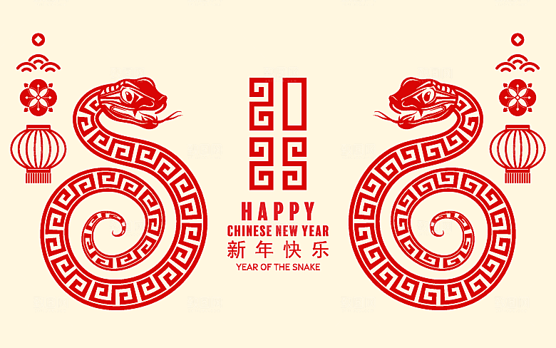 蛇年2025年新年春节中式蛇纹元素图