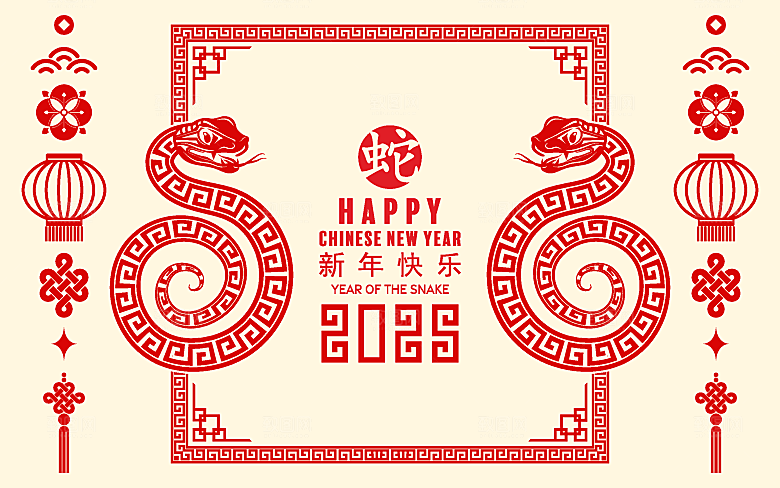 蛇年2025年新年春节中式蛇纹元素图