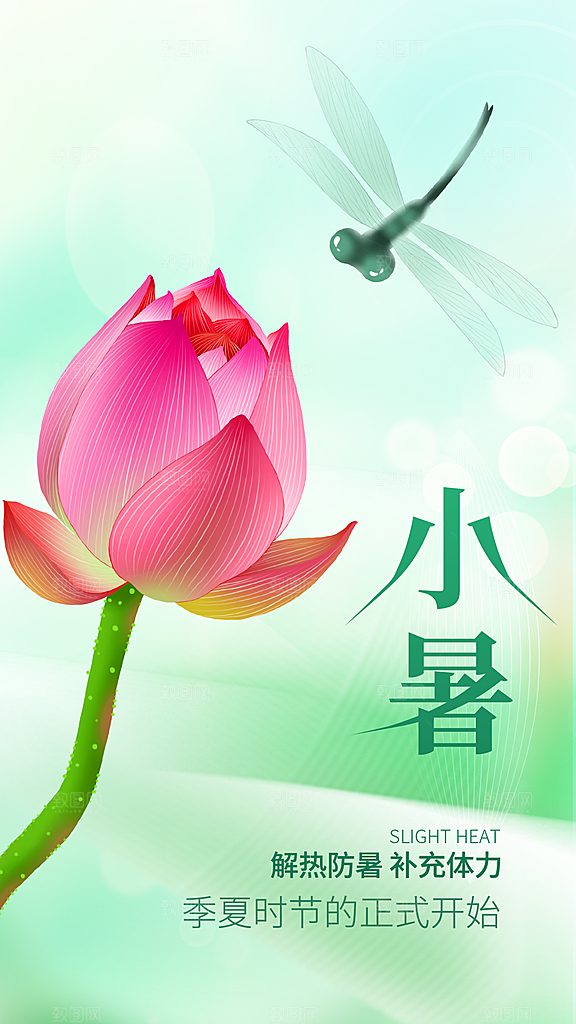 二十四节气小暑节日宣传海报插画